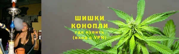 твердый Михайлов