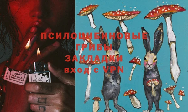 спайс Медвежьегорск