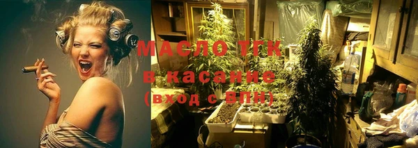твердый Михайлов