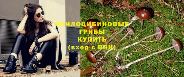 дживик Вязьма