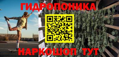 стаф Будённовск