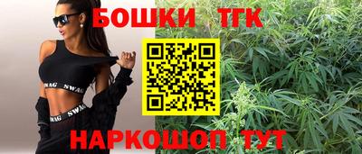 стаф Будённовск