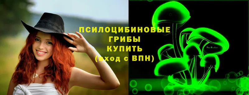 Галлюциногенные грибы Psilocybe  хочу   Выкса 