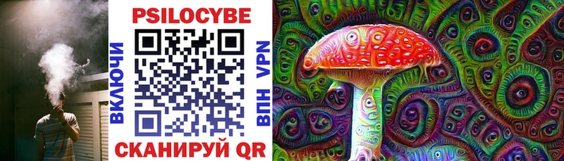 закладка Выкса Псилоцибиновые грибы Magic Shrooms