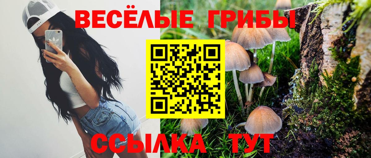 Псилоцибиновые грибы мухоморы Выкса
