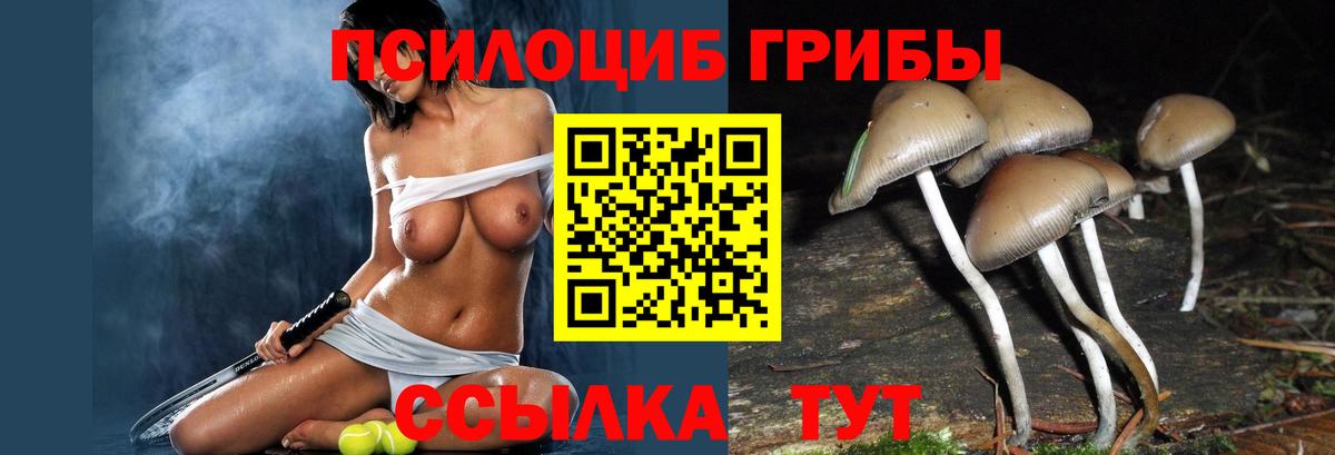 Выкса  Псилоцибиновые грибы MAGIC MUSHROOMS  Вход с VPN 